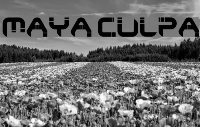 Maya Culpa Example 3