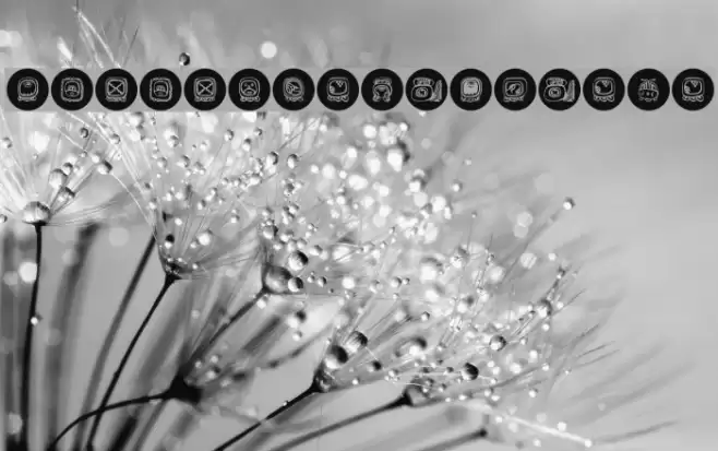 MayaKowski-Discs Font examples