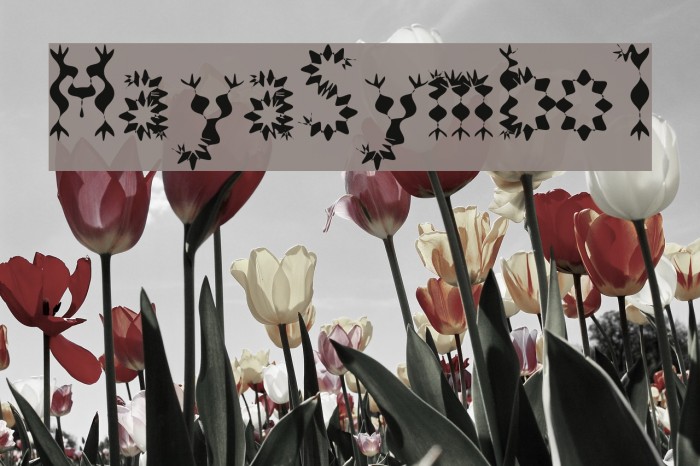 MayaSymbol Example 2