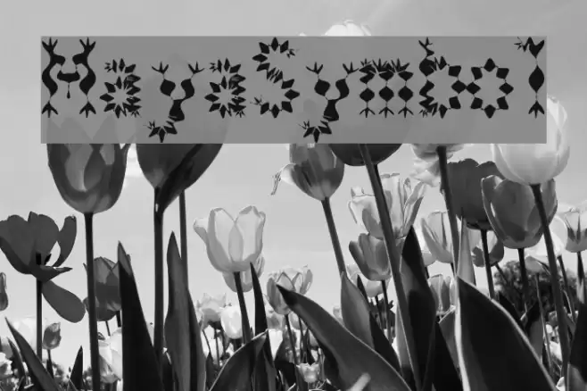 MayaSymbol Font examples