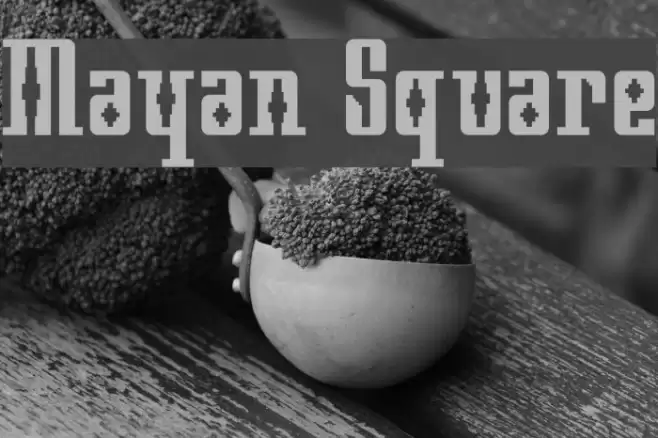 Mayan Square Polices examples