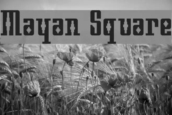Mayan Square Polices examples