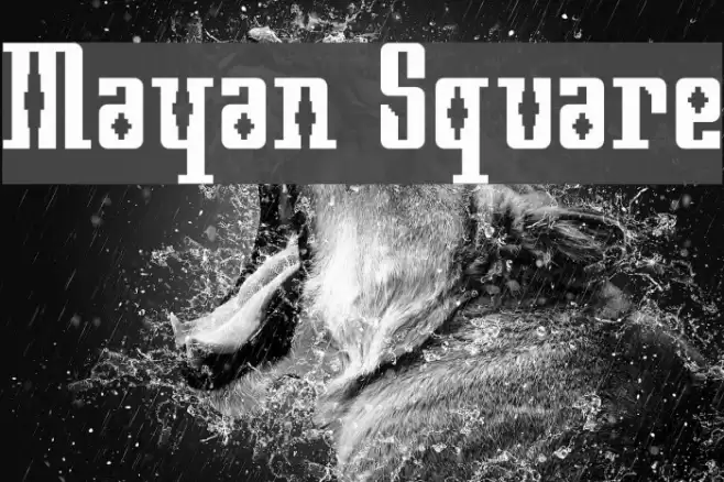 Mayan Square Polices examples