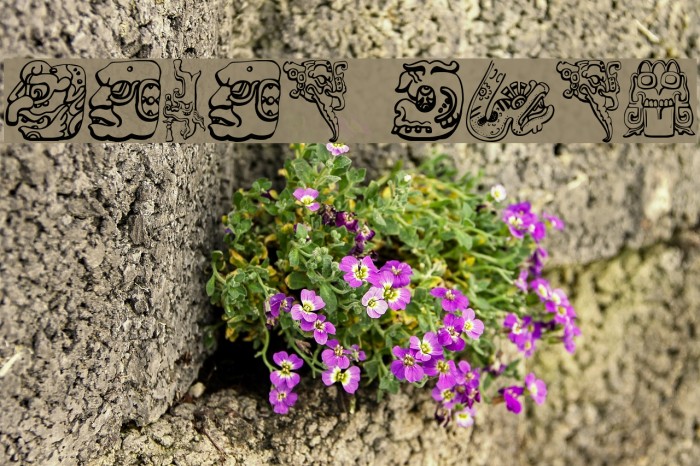 Mayan Font examples