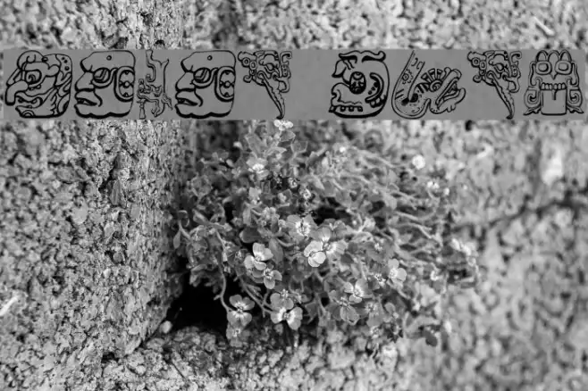 Mayan Example 1