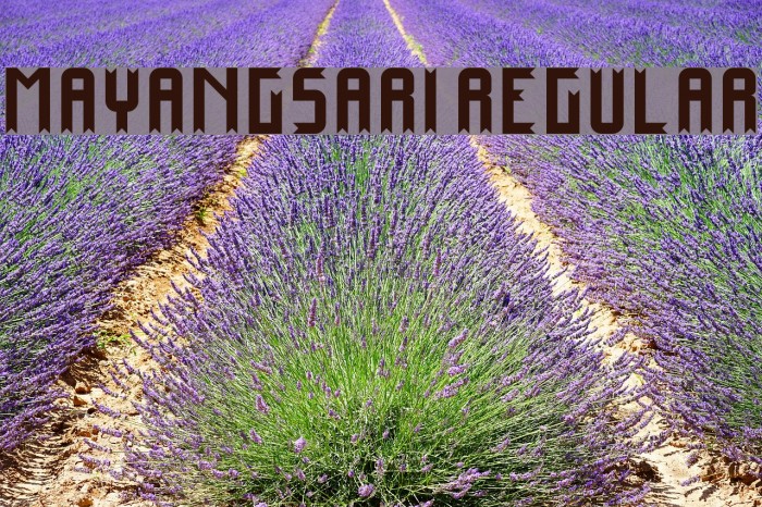 Mayangsari Regular Font examples