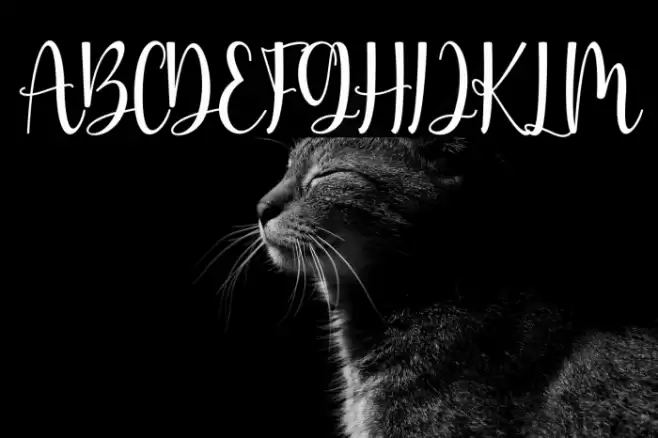 Mayapada Font examples