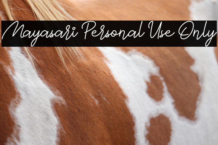 Mayasari Personal Use Only Example 2