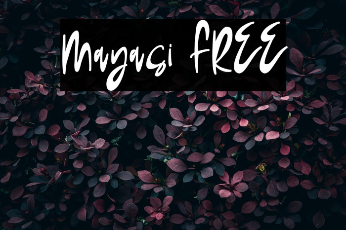 Mayasi FREE Example 1