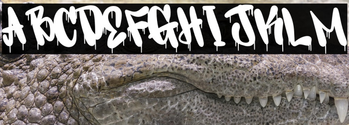 Maybach Personal Use Example 3