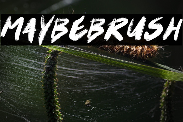 Maybe Brush Example 3