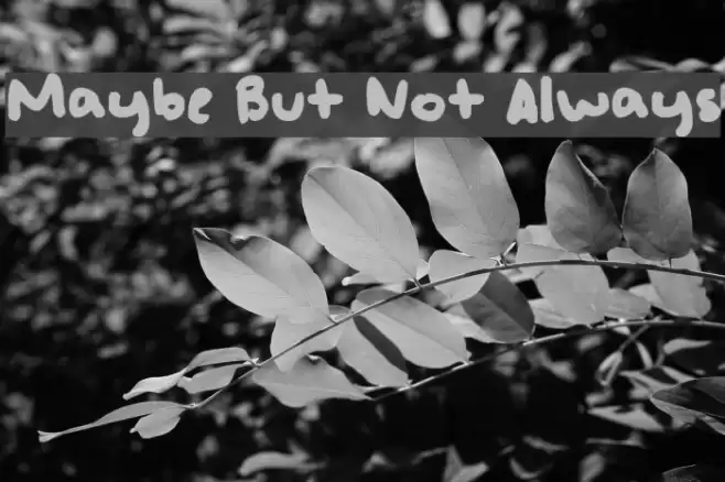 Maybe But Not Always Font examples