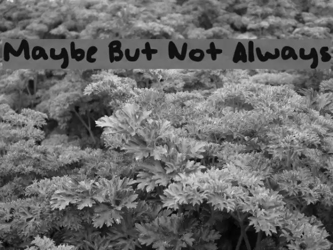 Maybe But Not Always Font examples