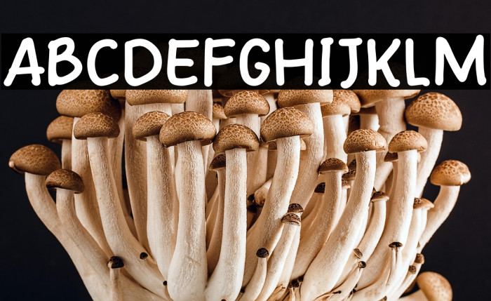 Maybe Next Example 1