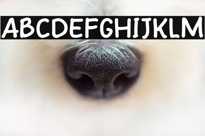 Maybe Next Example 3