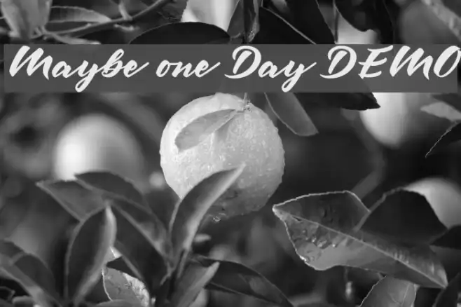 Maybe one Day DEMO Example 1