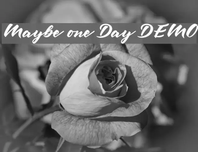Maybe one Day DEMO Example 2