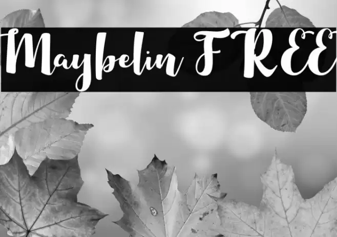 Maybelin FREE Font examples