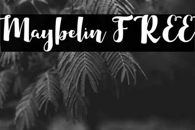 Maybelin FREE Font examples