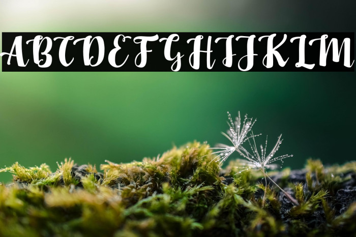 MaybelinFREE Example 3