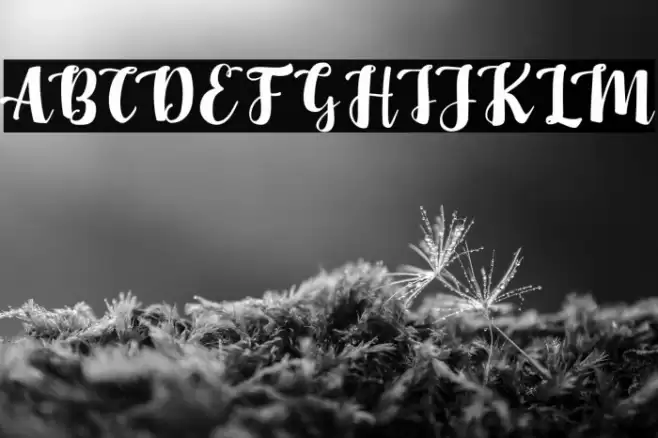 MaybelinFREE Font examples