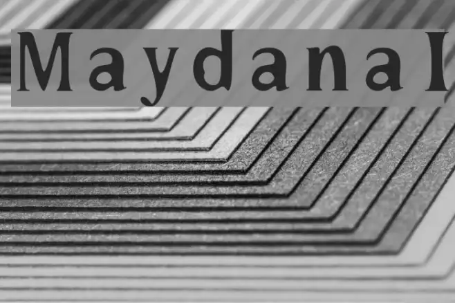MaydanaI Example 1