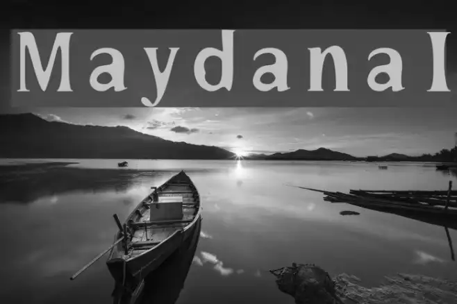 MaydanaI Example 2