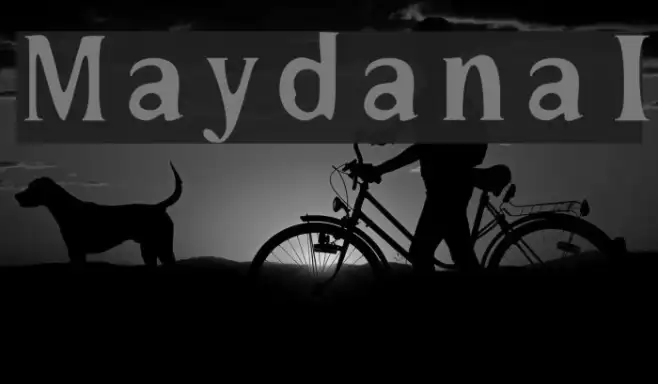 MaydanaI Example 3