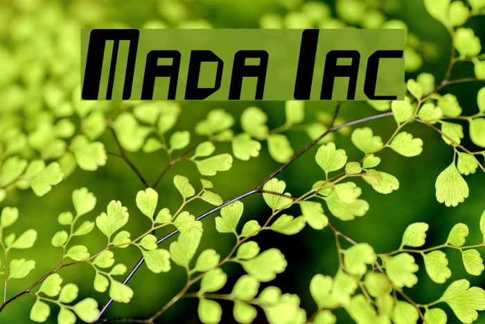 Mayday Italic Font examples