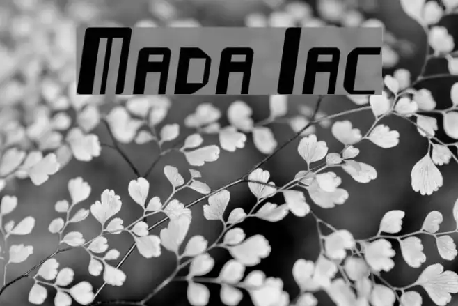 Mayday Italic Example 1