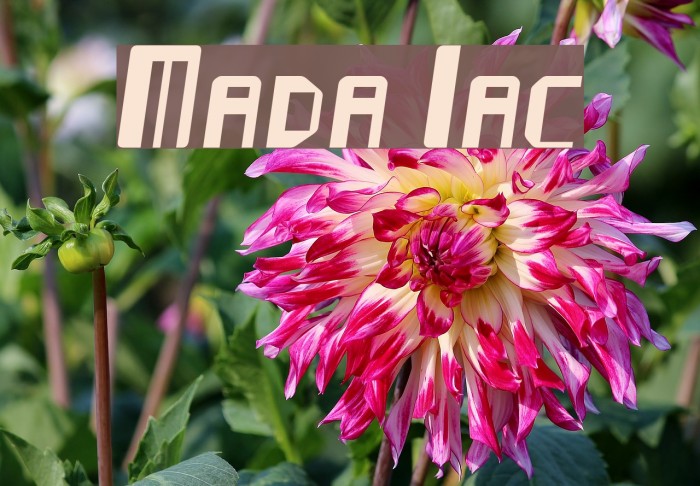 Mayday Italic Font examples