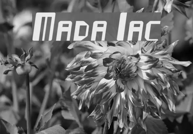 Mayday Italic Example 3