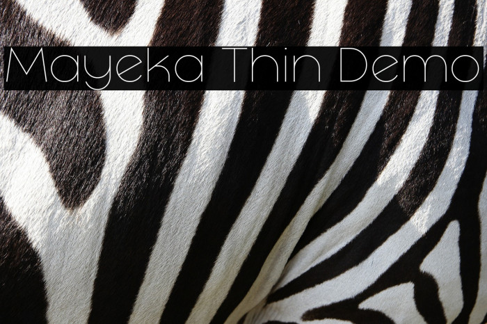 Mayeka Thin Demo Font examples