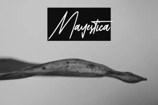 Mayestica Font examples