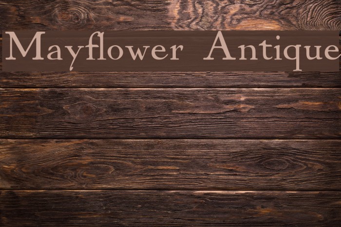 Mayflower Antique Font examples