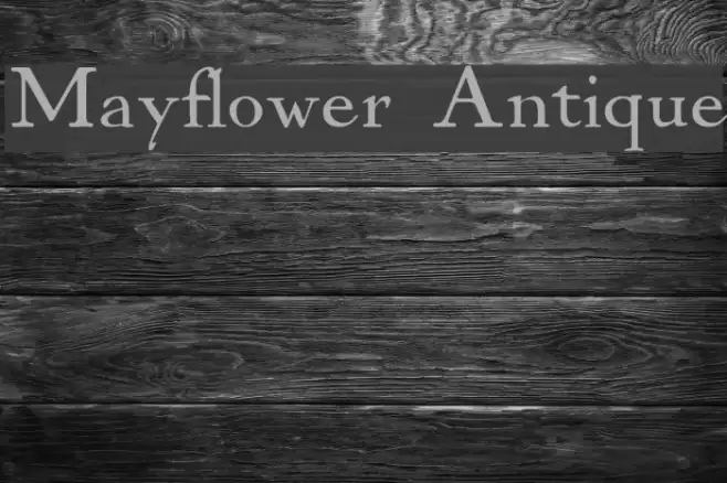 Mayflower Antique フォント examples
