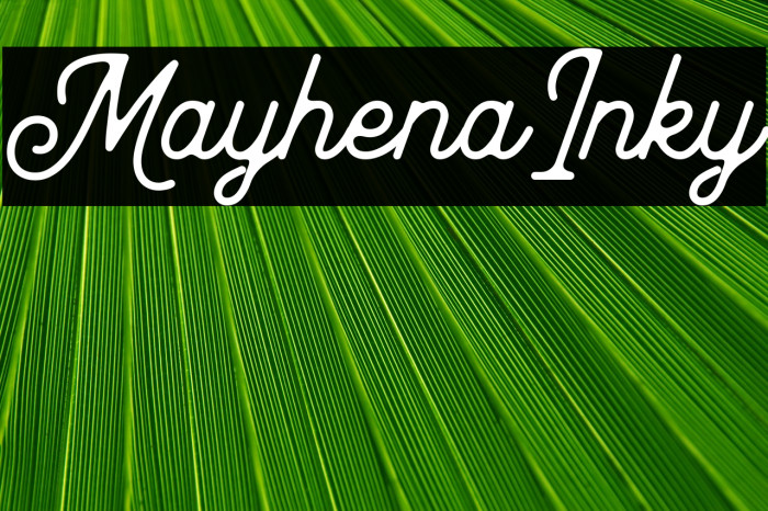 MayhenaInky Example 2