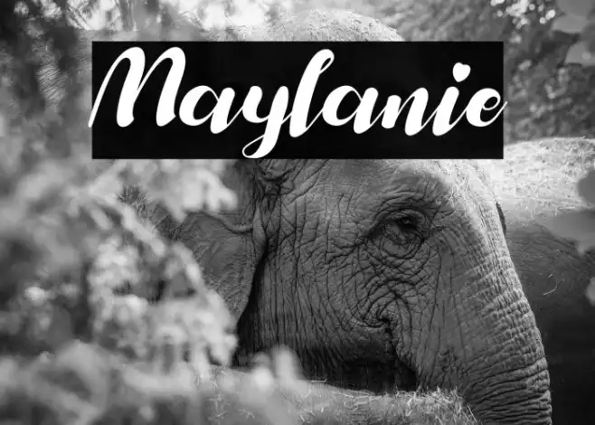 Maylanie Example 1