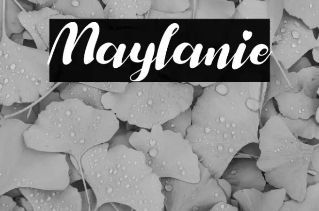 Maylanie Example 2