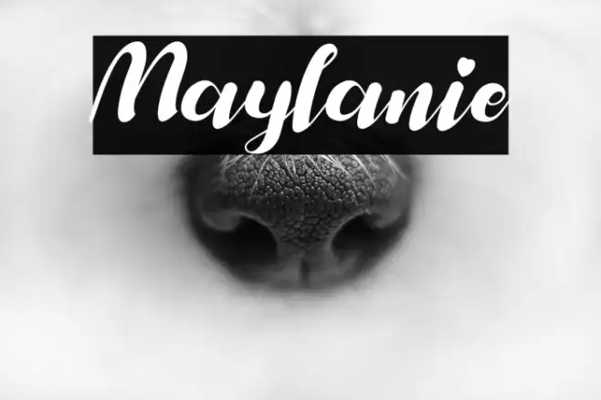 Maylanie Example 3