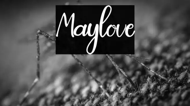 Maylove Example 1