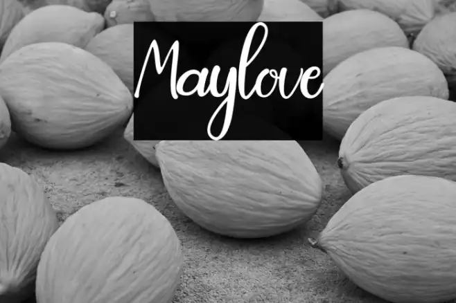 Maylove Example 3