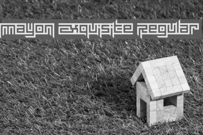 Mayon Exquisite Regular Font examples