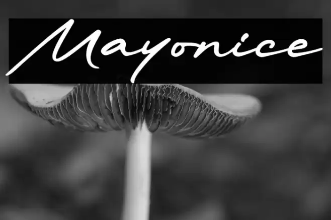 Mayonice خط examples