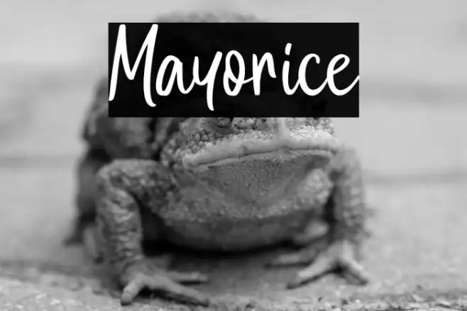 Mayorice Example 1