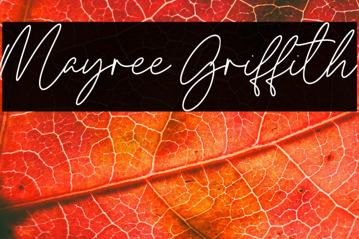 Mayree Griffith Example 1