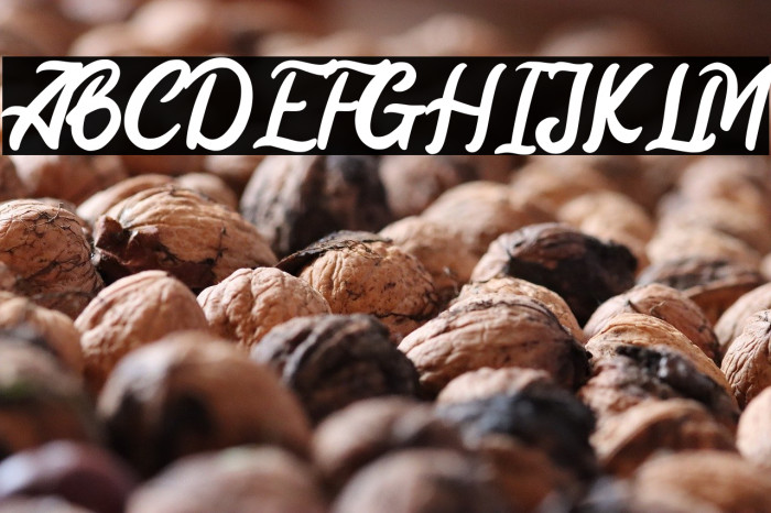 Mayrisand Demo Version Example 1