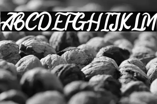 Mayrisand Demo Version Font examples