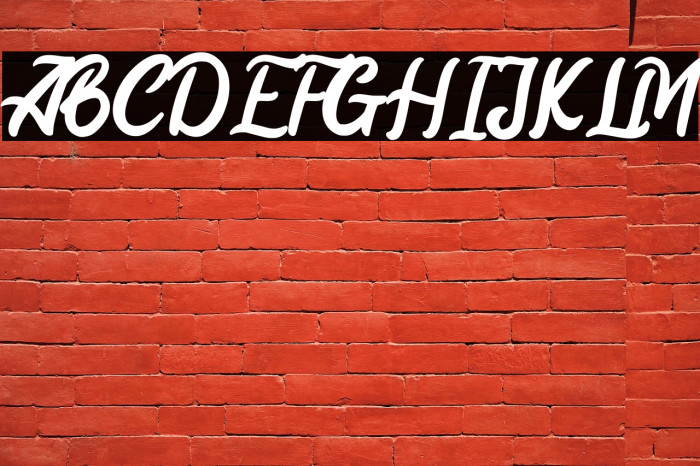 Mayrisand Demo Version Example 2