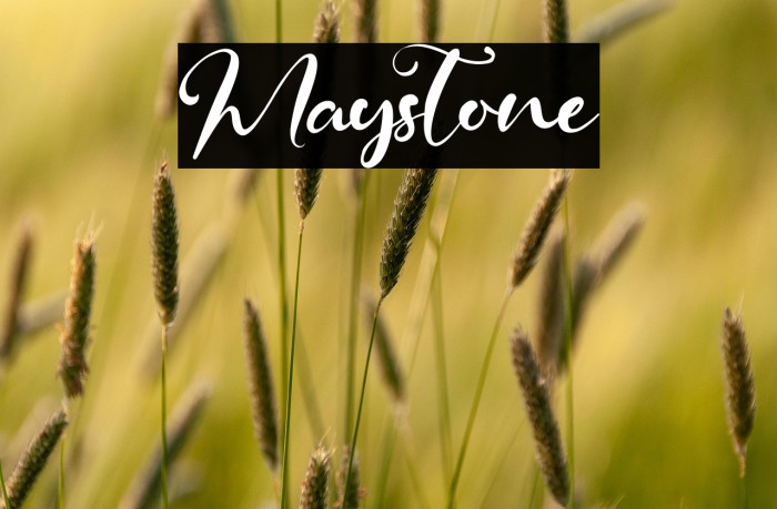 Maystone Example 2